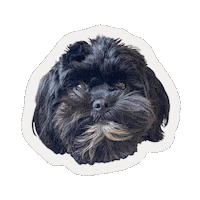 Milo Rescue Dog Sticker