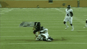 utsa roadrunners football GIF by UTSA Athletics