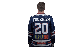 Ice Hockey Sticker by Fehervar AV19