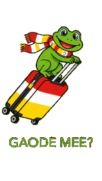 Carnaval Parade Sticker by Citygin