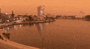 Orange Sky Wildfires GIF by GIPHY News