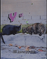 Bill Loves To Eat