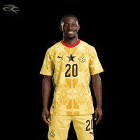 Fifa World Cup Ghana GIF by Respective