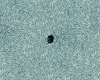 Business Man Rap GIF by M Huncho