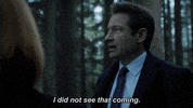 scully mulder GIF by The X-Files