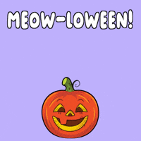 Cat Halloween GIF by VeeFriends