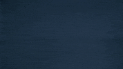 Bros GIF by Copenhagen Flames