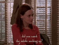 season 5 netflix GIF by Gilmore Girls 