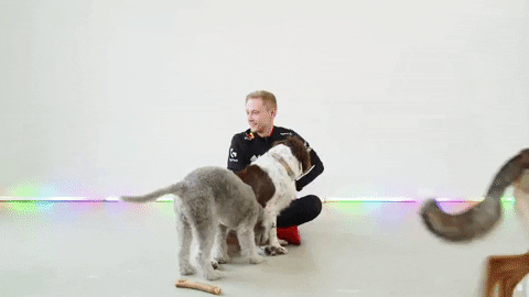League Of Legends Lol GIF by G2 Esports