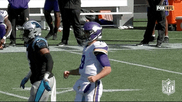 Minnesota Vikings Football GIF by NFL