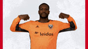 Bill Hamid Mls GIF by D.C. United