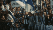 football celebrating GIF by Bundesliga
