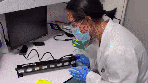 NikiStrachan giphyupload GIF