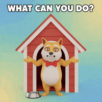 GIF by Doge Pound