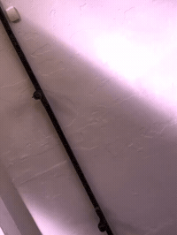 framebeta GIF