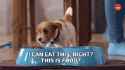 Eat Dog Food GIF by BuzzFeed