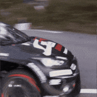 Japan Driving GIF by FIA World Rally Championship