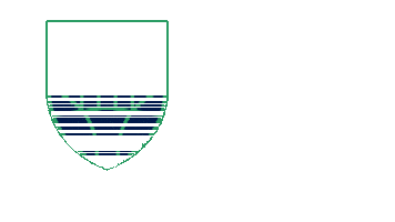 Womens Soccer Football Sticker by USL