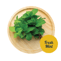Mint Sticker by tadafreshmarket