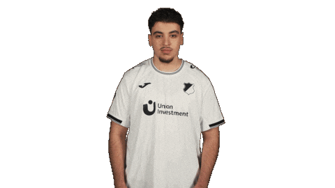 Tsg Hoffenheim Football Sticker by Bundesliga