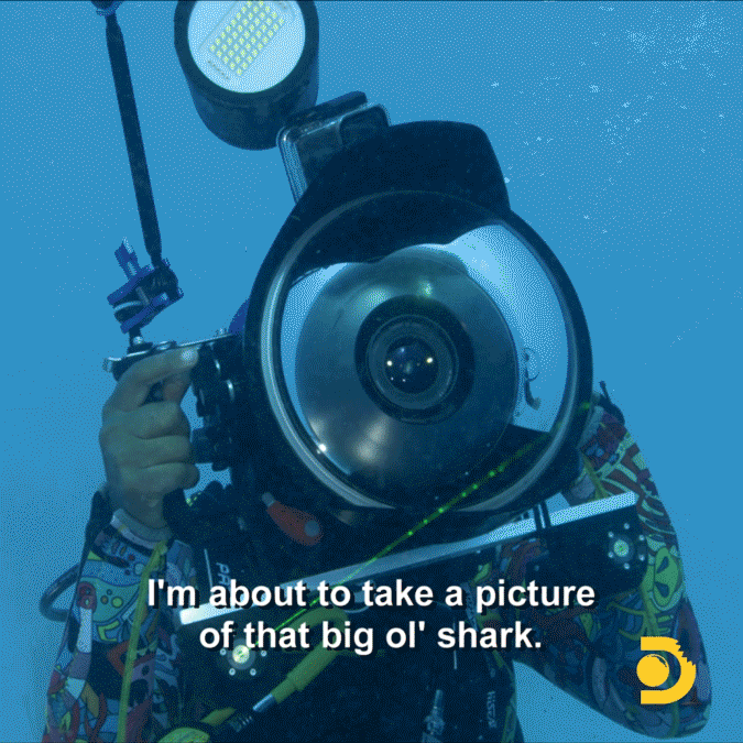 Tiffany Haddish GIF by Shark Week
