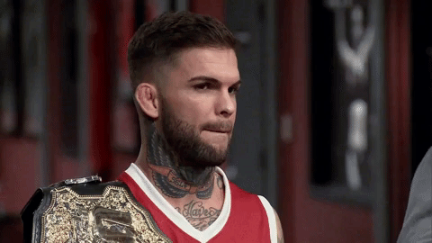 the ultimate fighter yes GIF