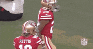 2019 Nfl Football GIF by NFL