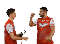Floorball Sticker by Český florbal