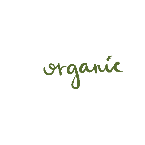 Food Health Sticker