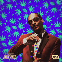 jokers wild smoke GIF by Snoop Dogg Presents The Joker’s Wild