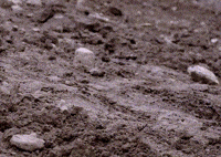Tired Mood GIF