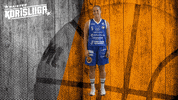 Sport Basketball GIF by Basket_fi