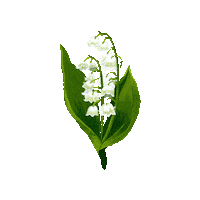 Happy True North Sticker by Caroline Spence