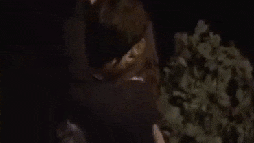 alex l'ariete trash GIF