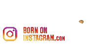 Jamshisplate2021 Sticker by BORN ON INSTAGRAM