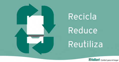 Vaillant_es giphyupload GIF