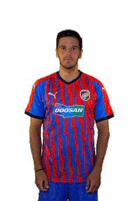 Cermak Sticker by FCVP