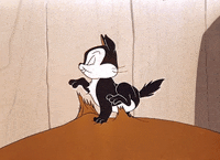 loop gets GIF