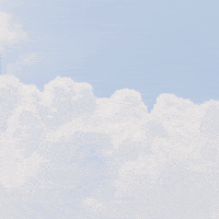 Toilet Paper Humor GIF by RB Life Brands