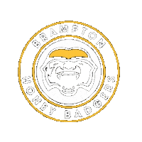 BramptonHoneyBadgers basketball nba ball bball Sticker