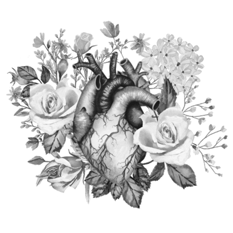 animation heart Sticker