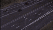 GIF by stalebagel