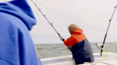 wicked tuna GIF by National Geographic Channel