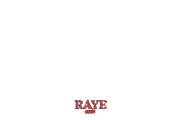 Thrill Is Gone Sticker by Raye
