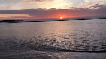 Sun Rises Over Dolphins and Cormorant at South Carolina's Seabrook Island