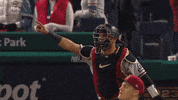 Celebrate Major League Baseball GIF by MLB