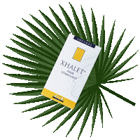 Shampoo Alta Sticker by Dermastir