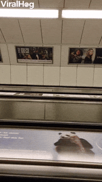 Tilted Escalator Riders in Budapest