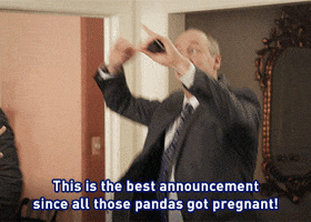 julia louis dreyfus GIF by Veep HBO