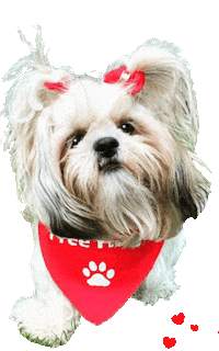 Red Dog Sticker
